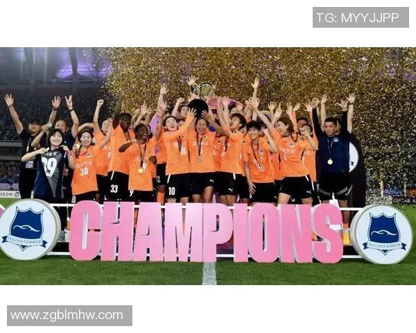 武汉足球队的拼搏之路：城市联赛中的荣耀与挑战